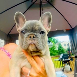 Meet your Posher, Erica